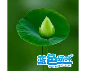 朋友们，大家好啊，初来乍到，请多关照哈。 ...