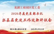 龙湖工业园区党工委召开2020年度党支部书记抓基层党建工作述职评议会