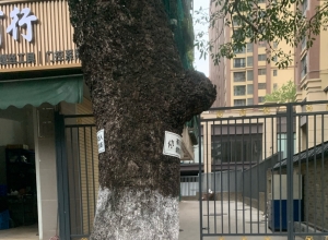 老旧小区改造不彻底，居民多年出行困难问题和消防隐患...