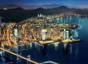 匿名建议
