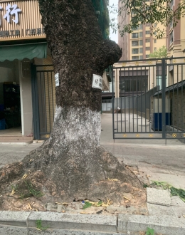 老旧小区改造不彻底，居民多年出行困难问题和消防隐患...