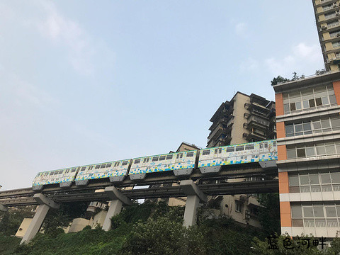 11.jpg