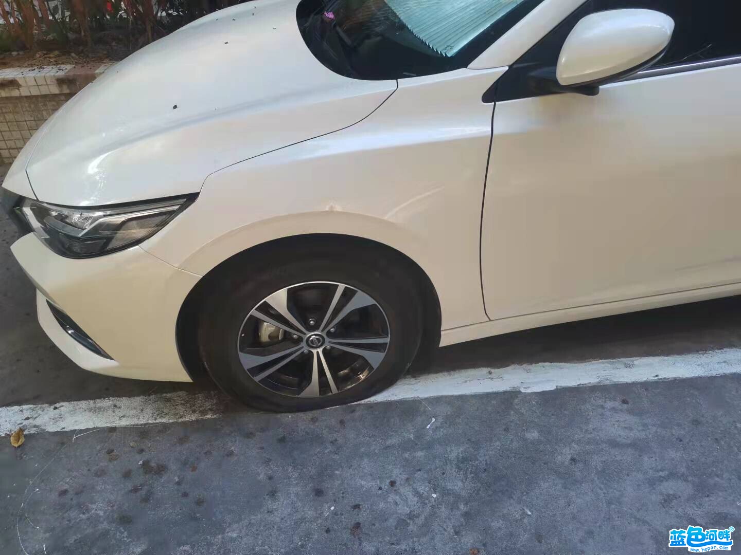 120131cedf69m27hmv5v2v.jpg