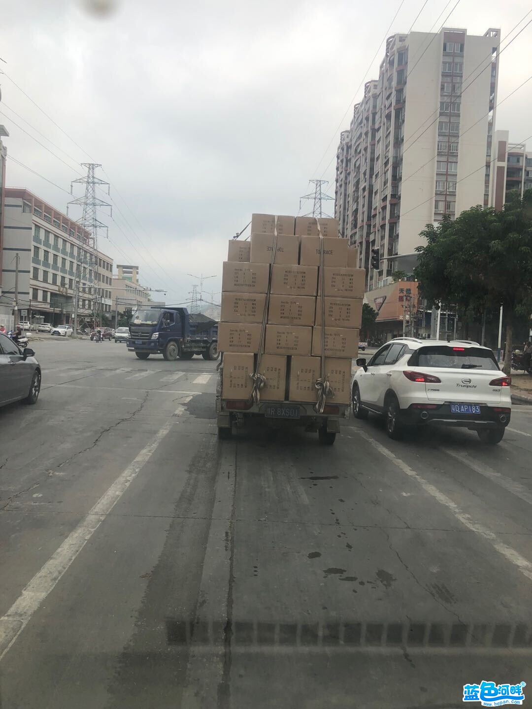 123325kpabdn6pb29iydgg.jpg