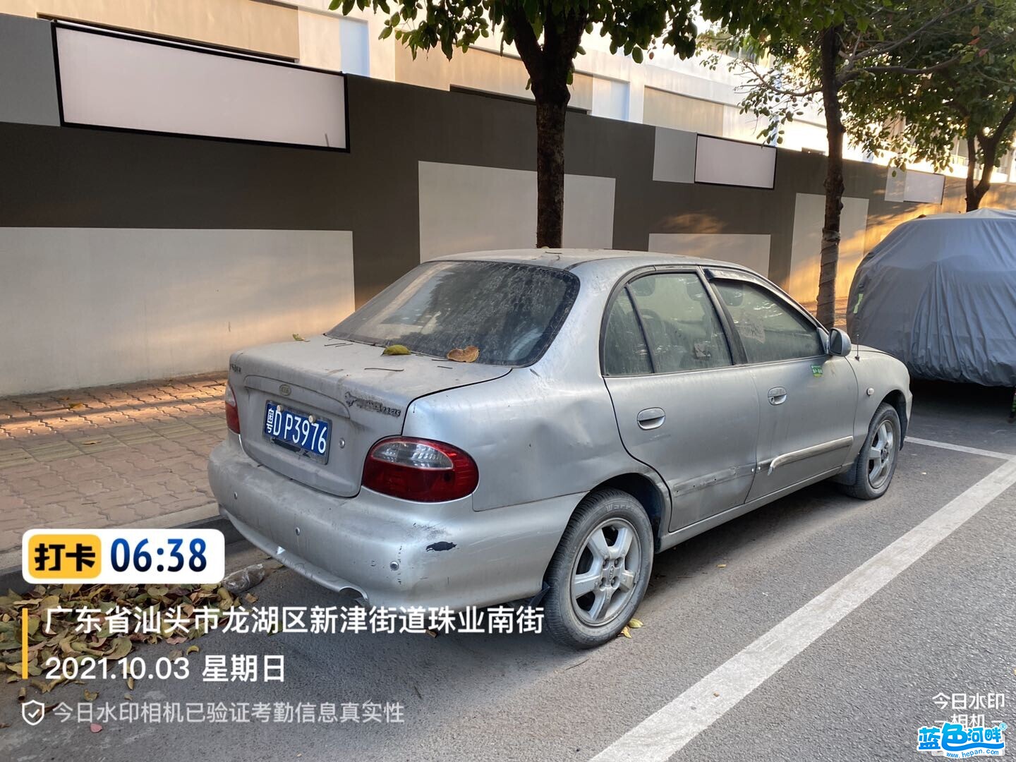 174115msw6rsnvvig6sg4p.jpg