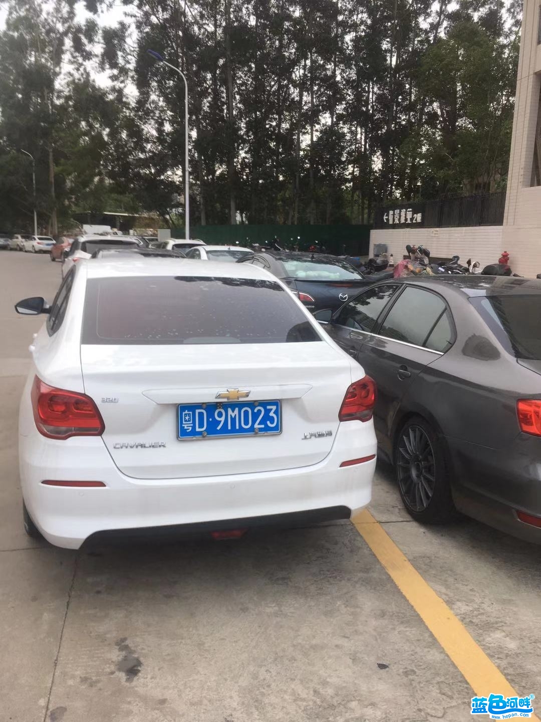 162416ql9si1us10vpv9pa.jpg