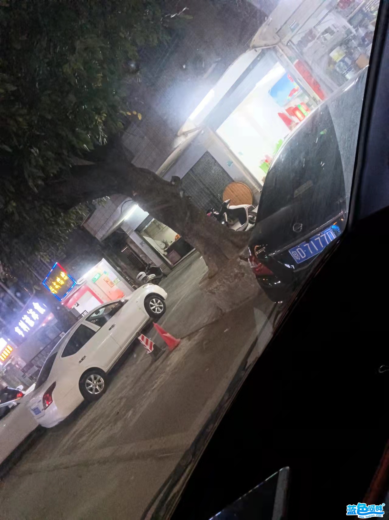 171307vhjcgcs3zp9dnpju.jpg