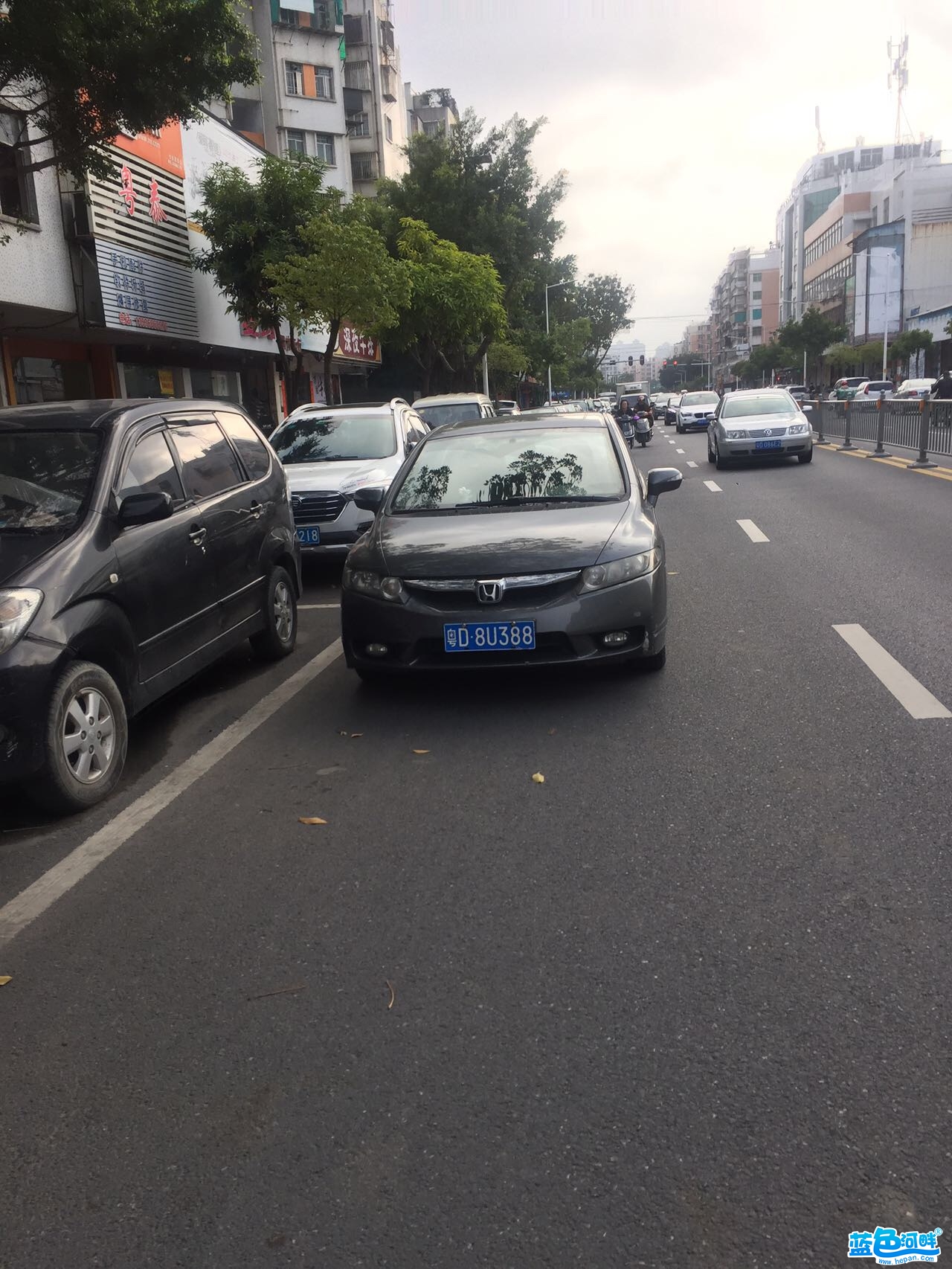 141927rghozbhx5f383nh5.jpg