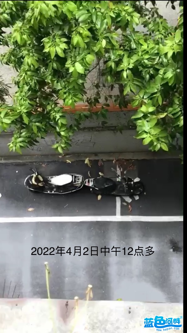 135131nl44lxxb7li4prrs.jpg