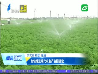 加快推进现代化农业产业园建设