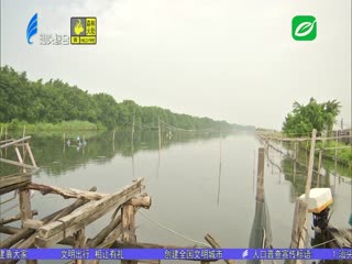 牛田洋养殖新模式：生态混养“科技兴渔”