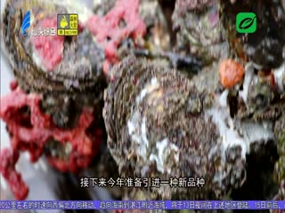 打造现代化沿海经济带重要发展极（下）：壮大海洋经济 启动“蓝色引擎” ...