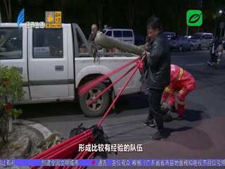 南澳森林明火已灭 全面转入清理除患