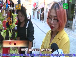 “草编”达人 手编“动物”