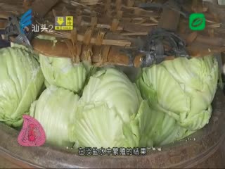 七十集纪录片《寻味汕头》龙湖篇⑦腌出酸爽