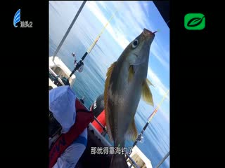 海钓深海鱼宴