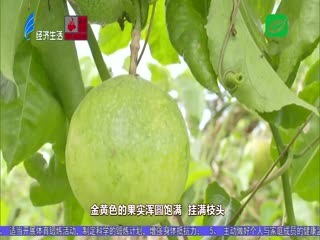 社区团购入局“双” 生鲜电商备受青睐