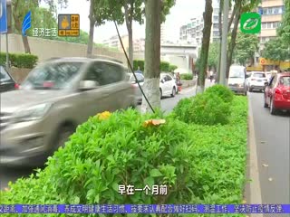 电缆线凌空过街 遇公交车被拉断