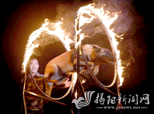 揭阳训犬兵登上全国赛奖台