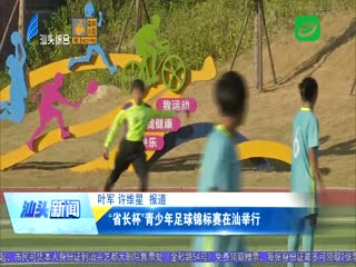 “省长杯”青少年足球锦标赛在汕举行