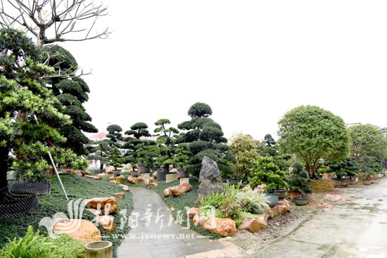 普宁洪阳宝镜院获评“国家森林乡村”
