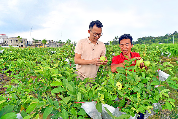 惠来石田村：扶贫有准头 致富有盼头
