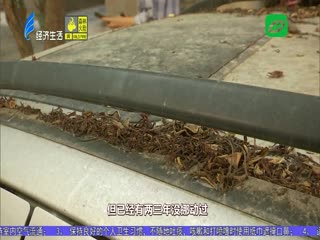 四个车胎三个瘪 “僵尸车”须作处理