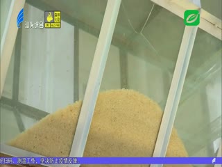 汕头：晚稻成熟 颗粒归仓