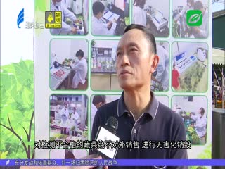 市农副产品批发中心市场销售蔬菜实现%抽检