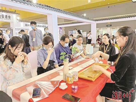 我市31家茶企组团参展集中亮相