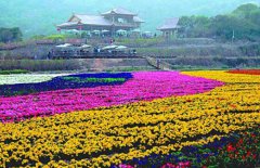 汕头丹樱生态园