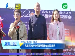 广东省玉米产业示范观摩会在汕举行