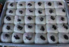 隆都米钱