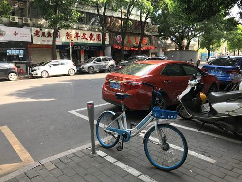 哈啰单车“任性”停放