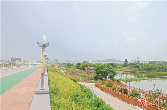 全力以赴推进文明城市创建