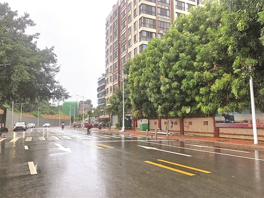 市区北园路改造基本完成