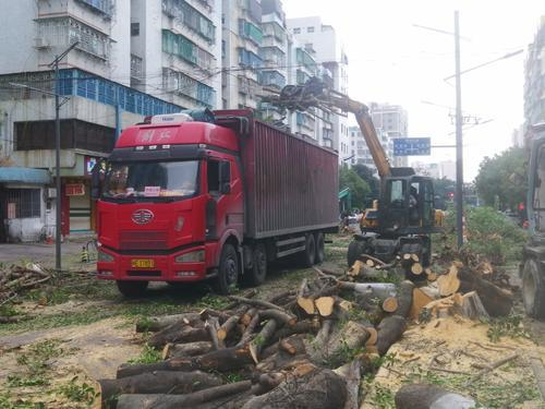 城新路为何要改造提升？