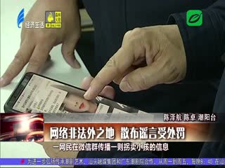 网络非法外之地 散布谣言受处罚