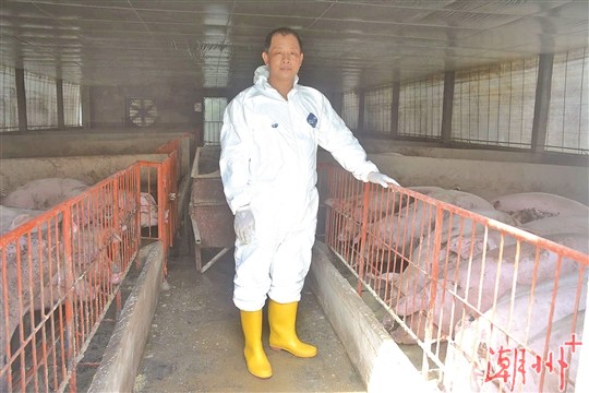 “全国劳动模范”许志群：致力养殖技术创新 带动村民养猪脱贫 ...