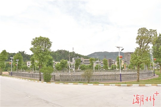 凤新街道高厝塘村：打造村庄“绿化牌”