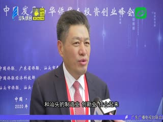 新闻综述：凝聚四海侨音 谱写发展新篇