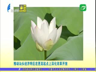 多家媒体关注汕头