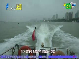 东海岸边非法电鱼 渔政部门巡查打击