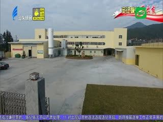 后宅镇：发展特色海岛经济 促进文旅体深度融合