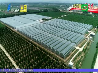 牢记嘱托再出发 新闻特写：共克时艰 共谋发展