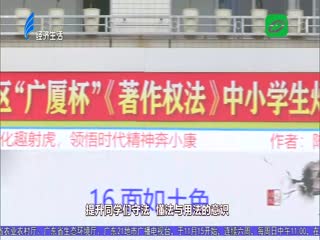 中小学生趣射虎 竞猜灯谜学法律