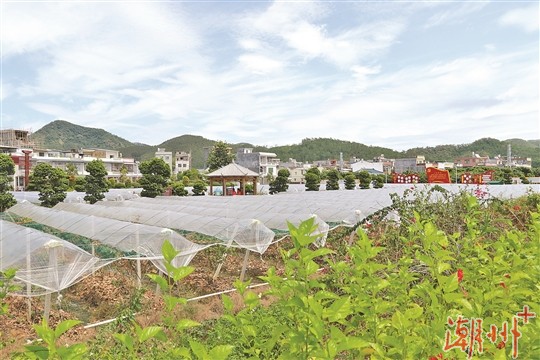 大潮通车，沿途风景“潮”起来