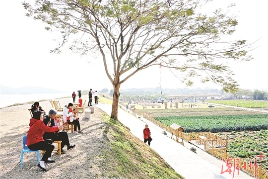 以土地流转为小切口 做好乡村振兴大文章