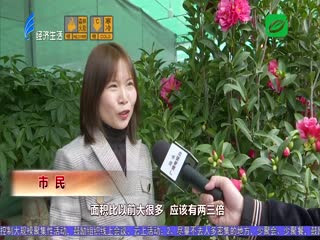 花木市场换新址 环境升级更便利