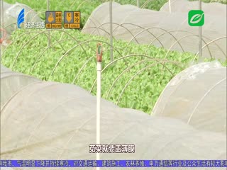气温明显下降 种养户防寒忙